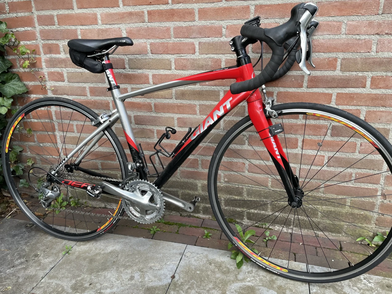 giant defy 2 2010