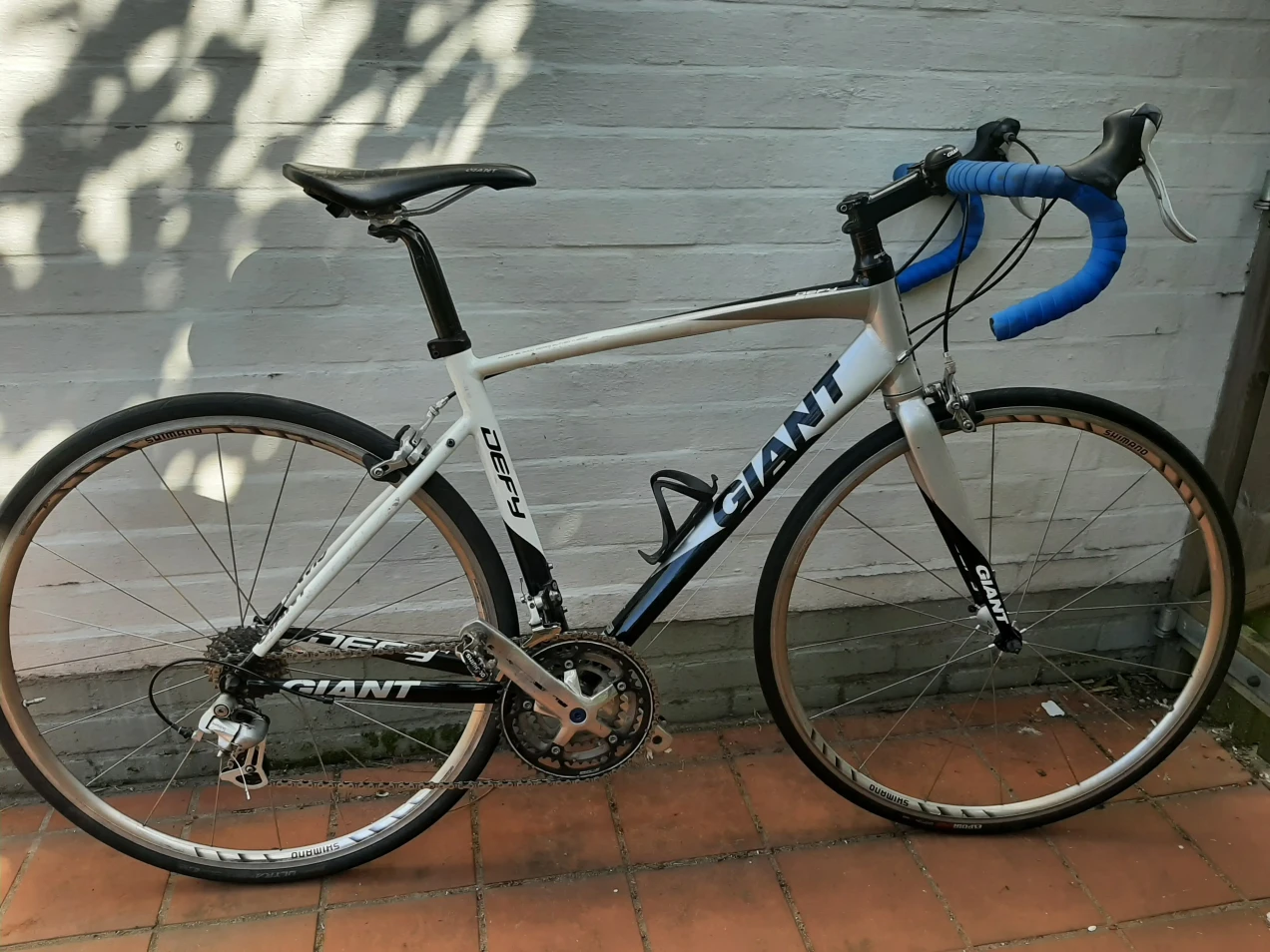 giant defy 2 2010