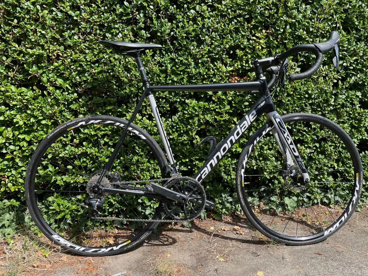 cannondale caad12 used