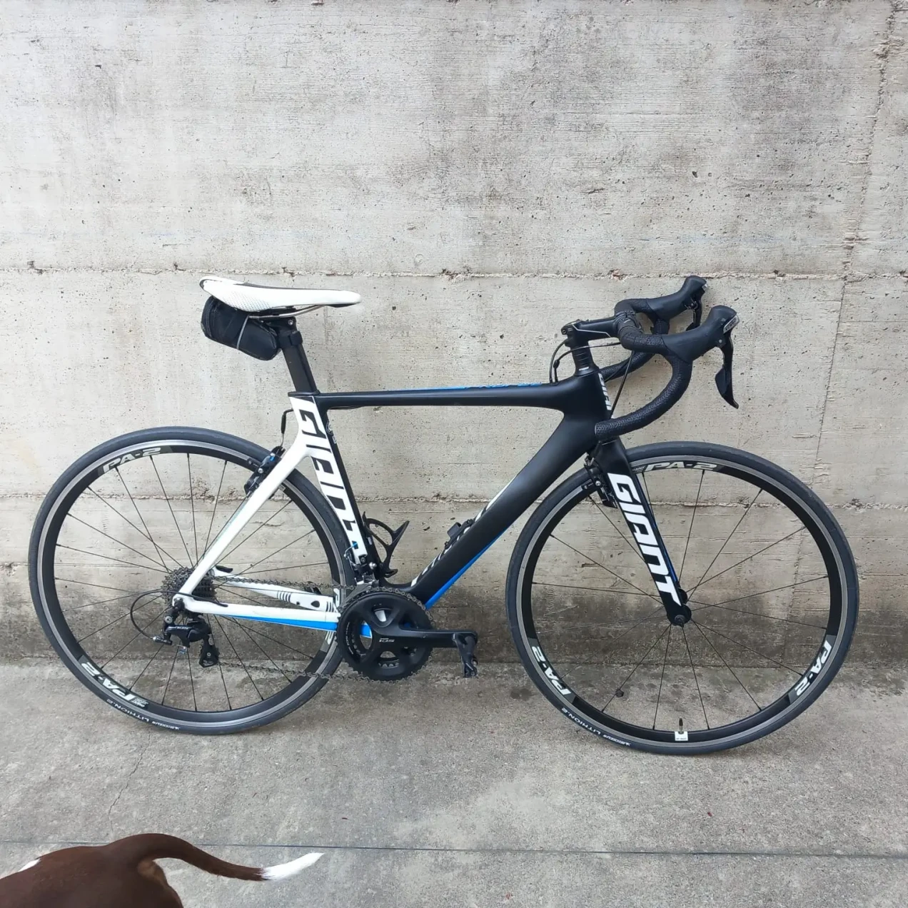 giant propel advanced 2 2016