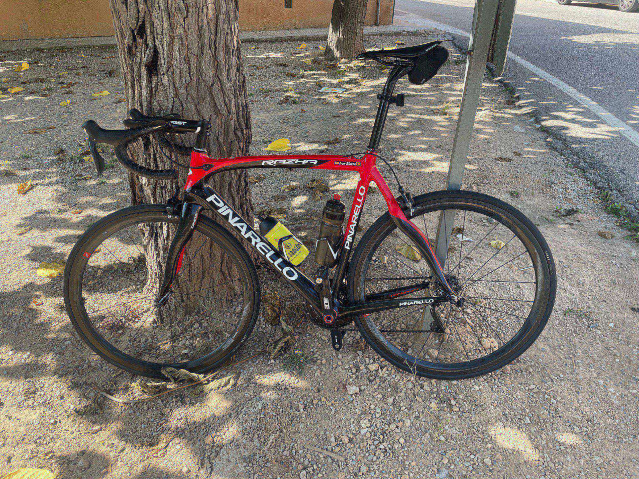 pinarello razha campagnolo