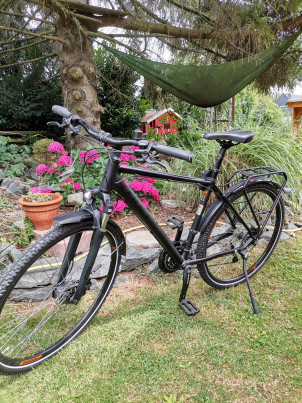 alte steh auf und kauf dem bub a fahrrad