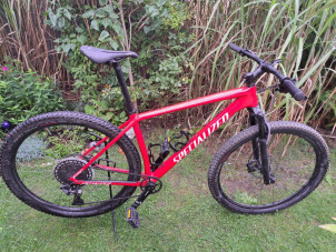 specialized hardtail 2020