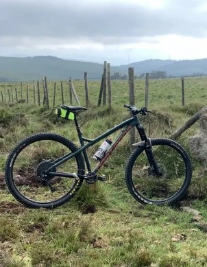 Dartmoor - Primal Pro 29, 2018