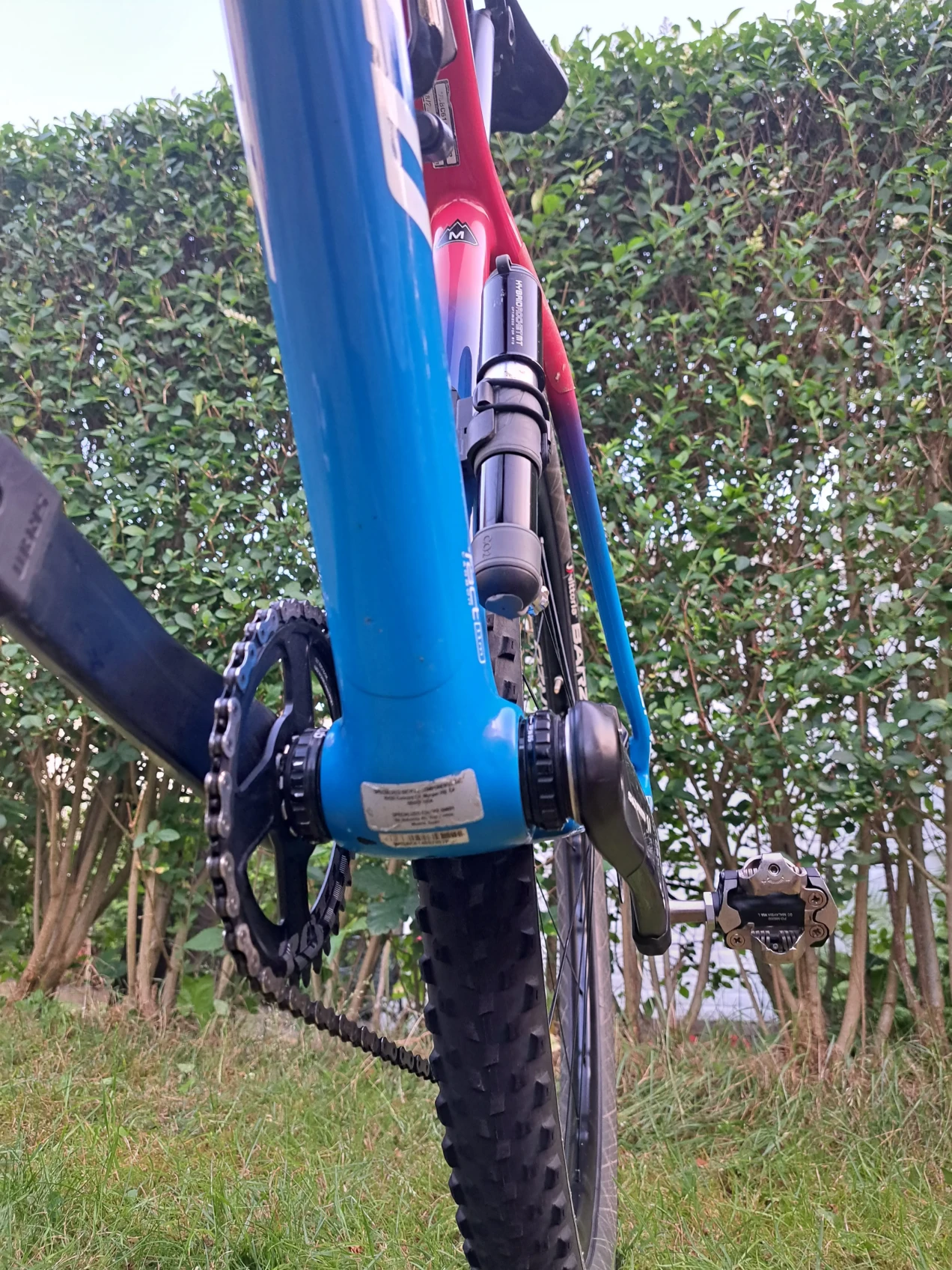 specialized epic hardtail pro 2019