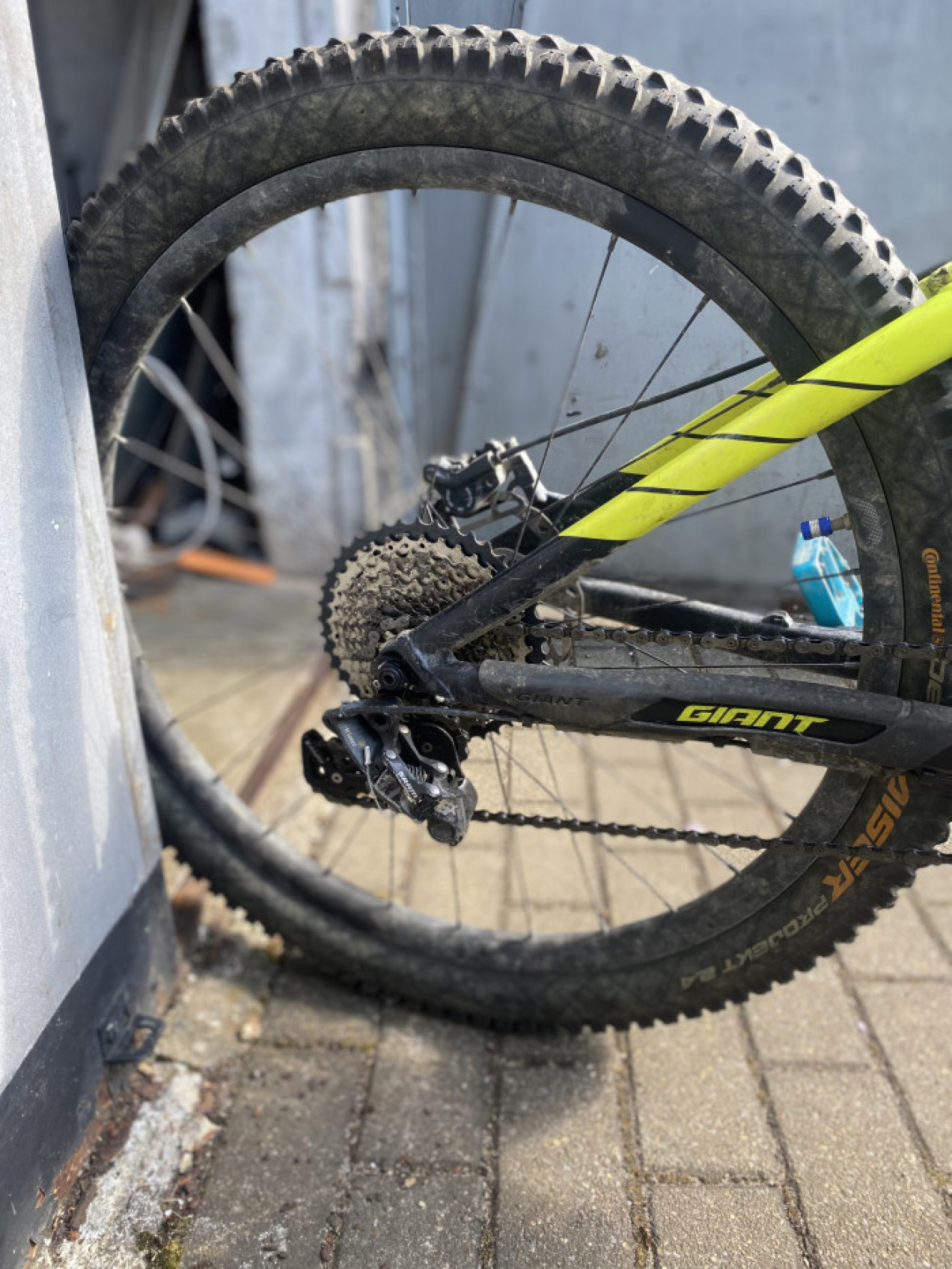 gear bicycle for 10 year old