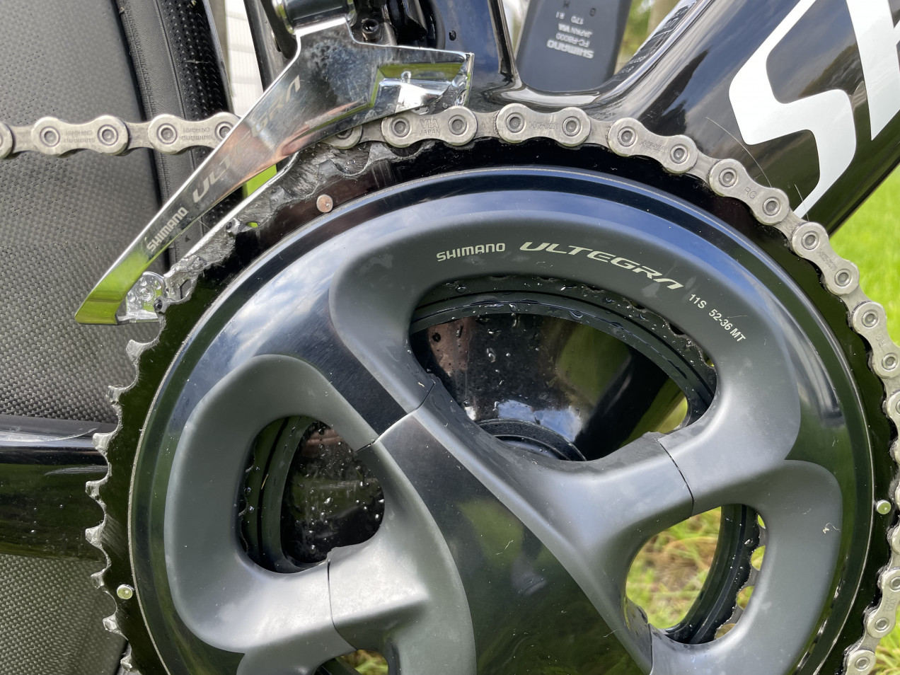 specialized expert disc 2019