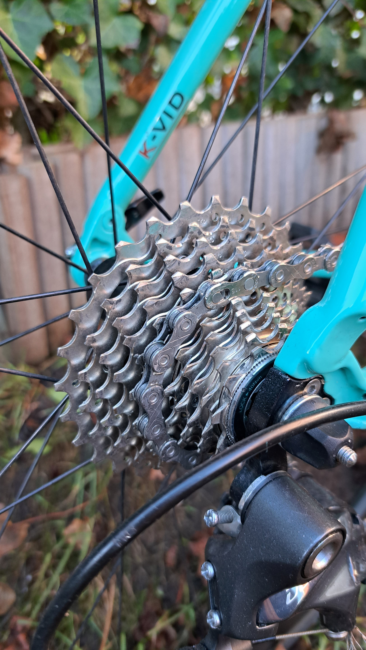 bianchi intenso ultegra review