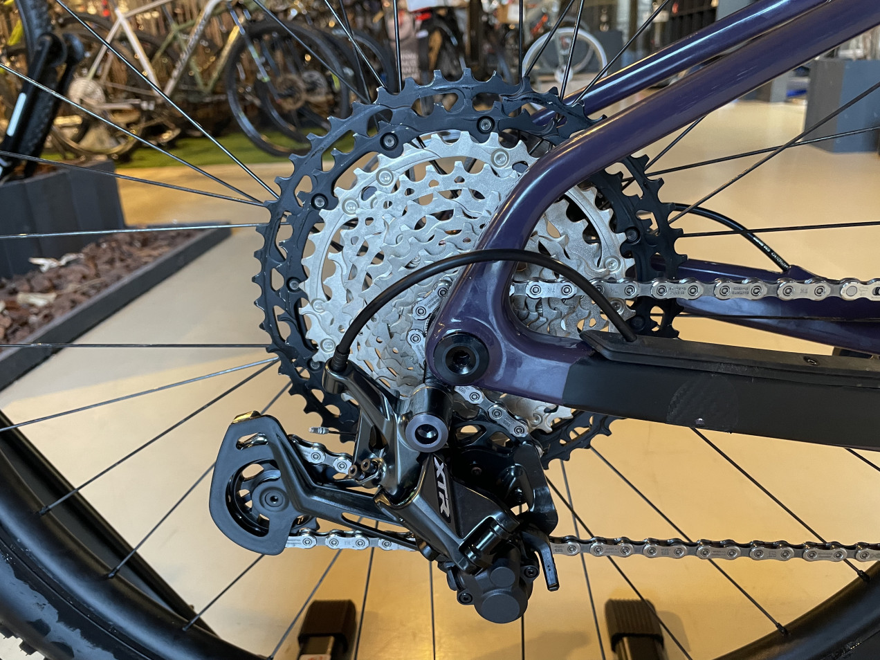 santa cruz highball s