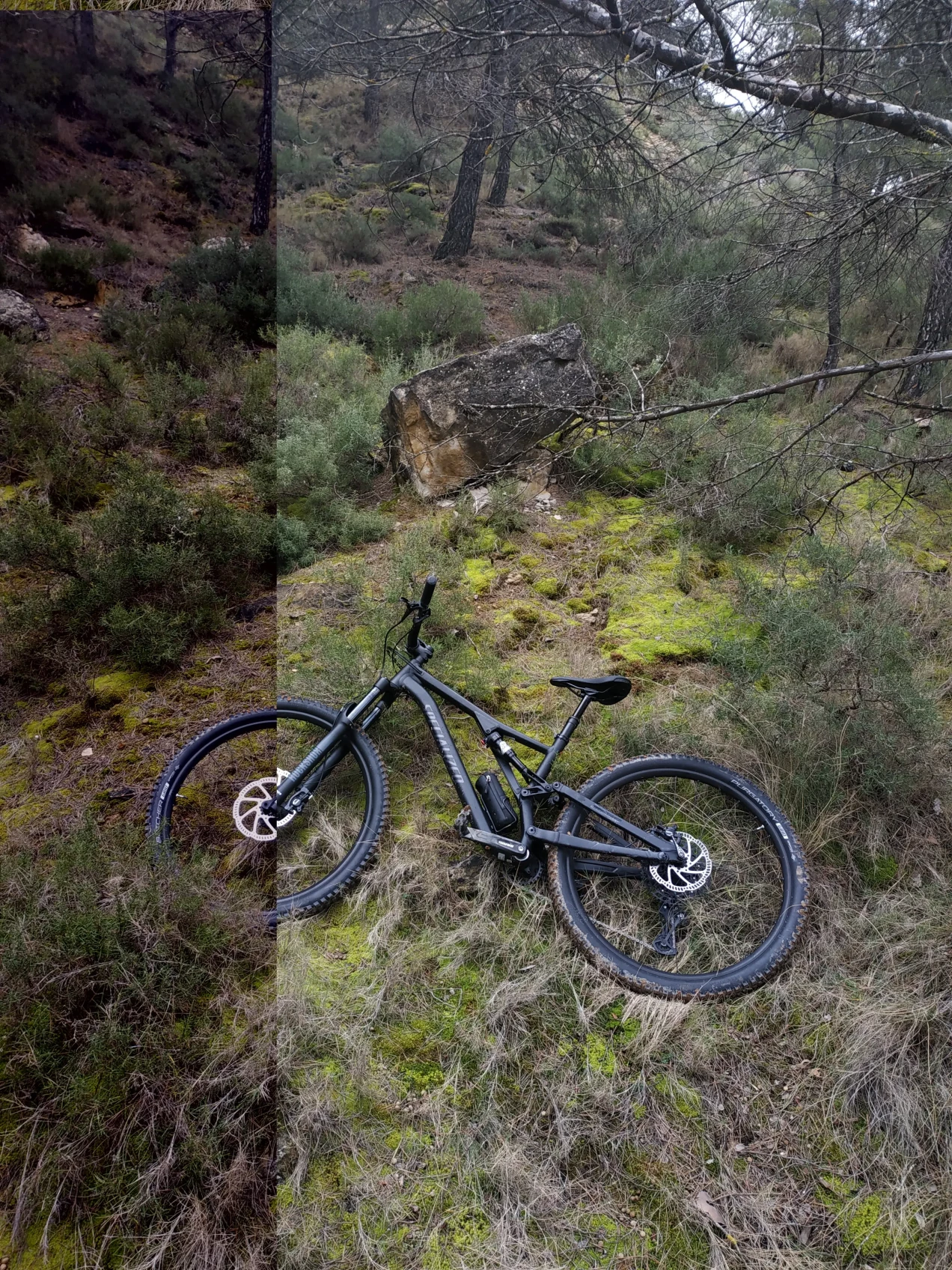 2019 specialized stumpjumper st alloy 29