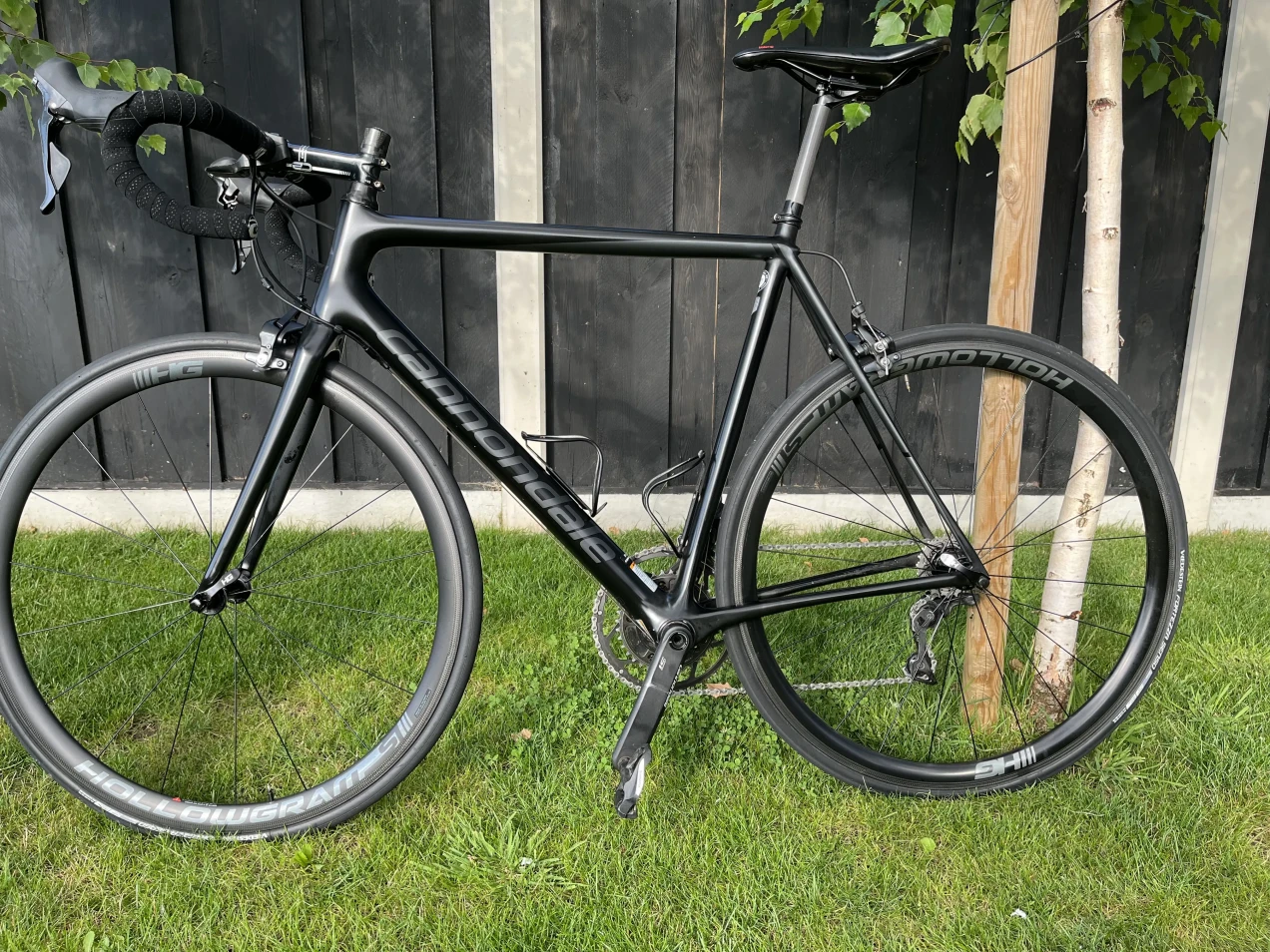 orbea h50 avant