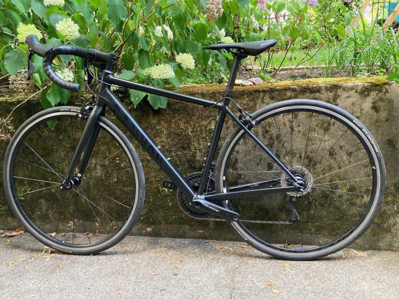 Canyon Endurace AL 7.0 used in xs | buycycle