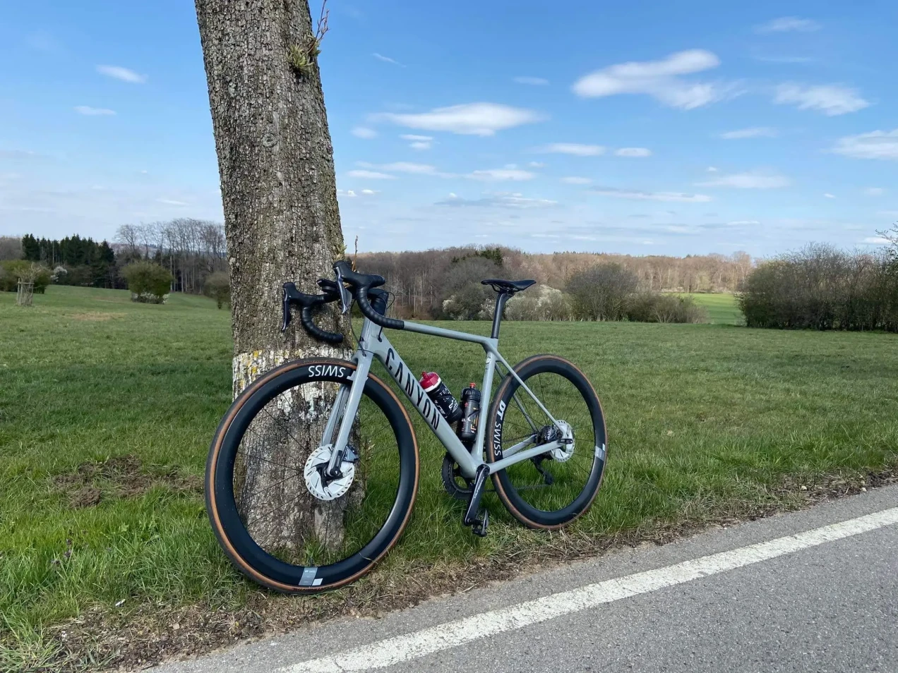 Canyon Ultimate CF SL 8 Disc Aero used in SM | buycycle