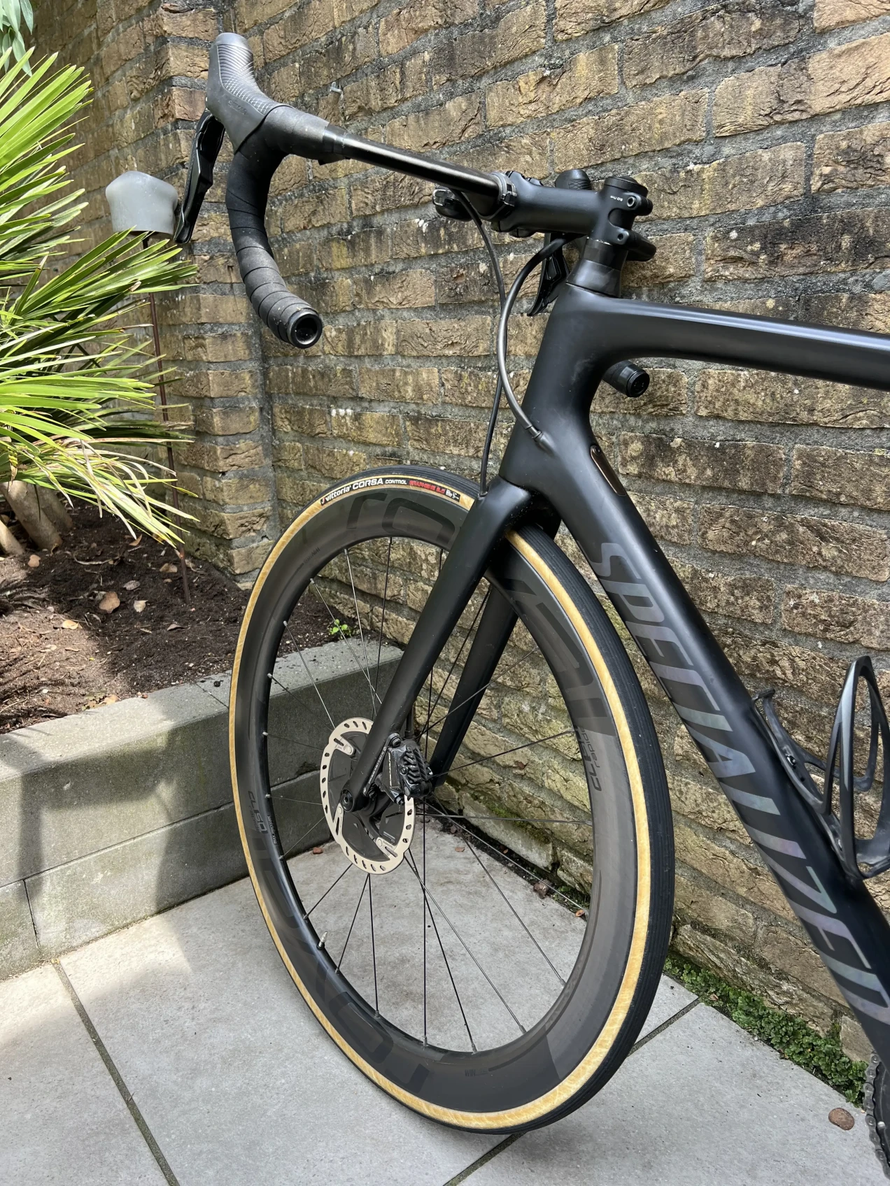 men's tarmac disc pro