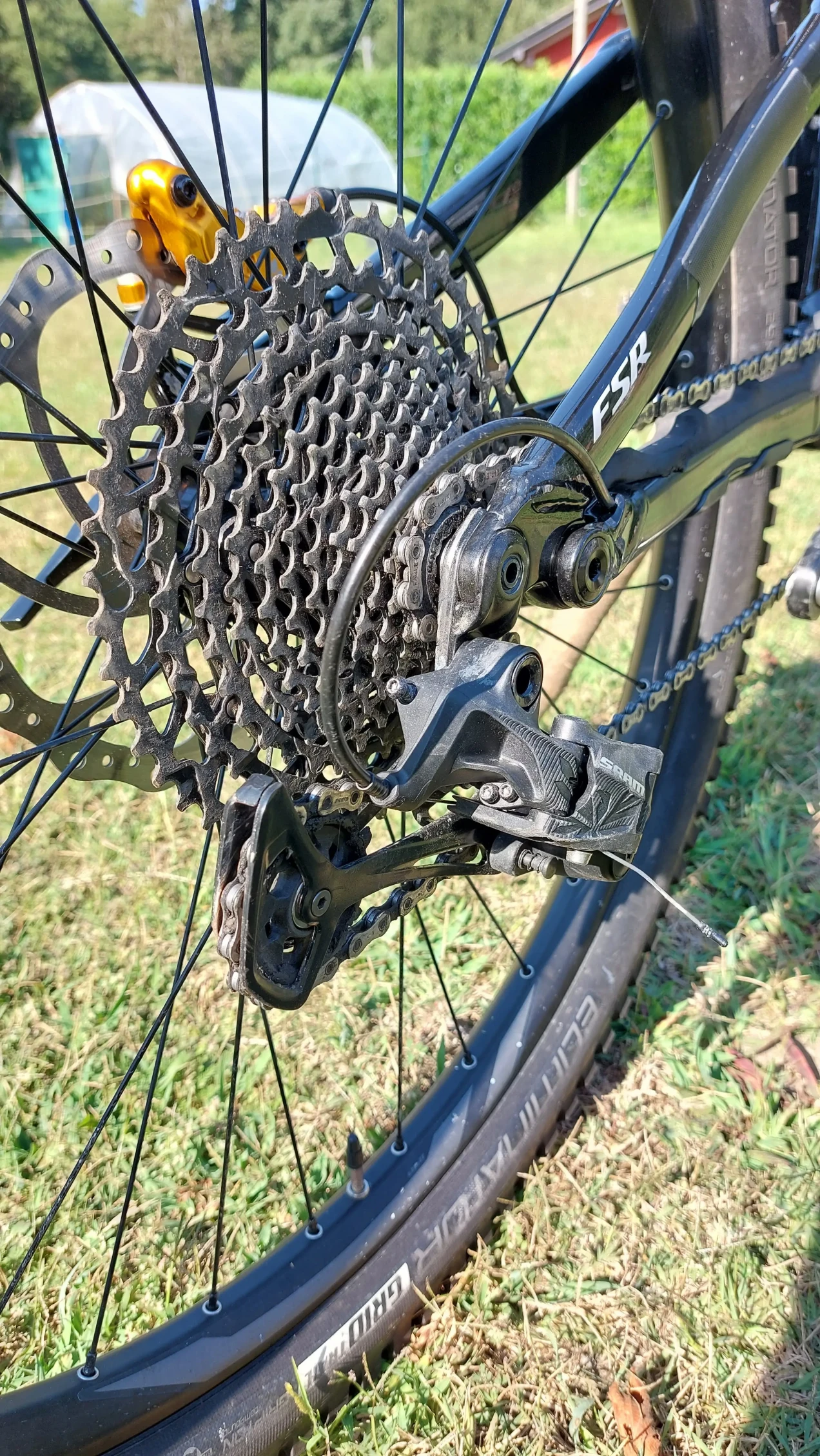 2020 specialized stumpjumper 29