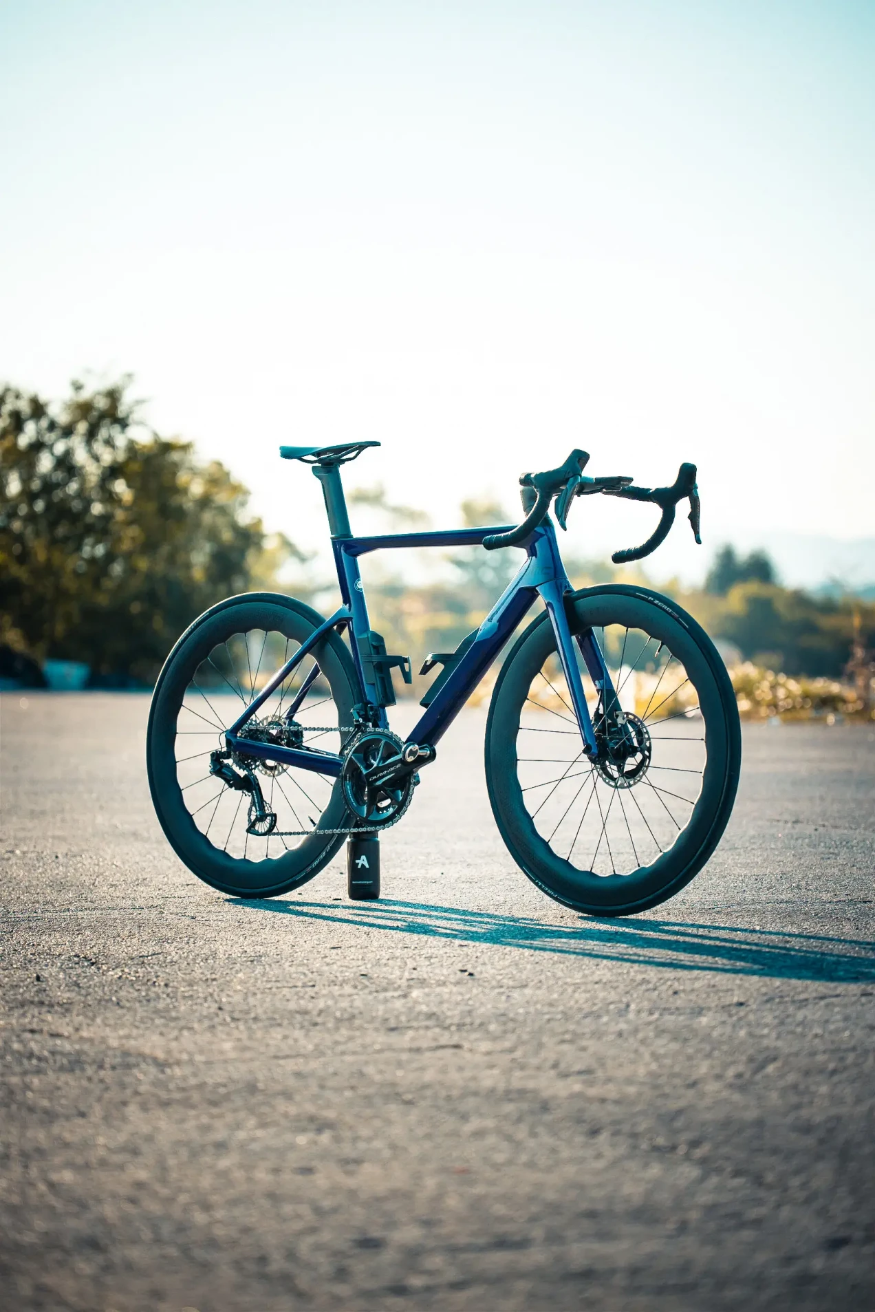 levo expert carbon 2019