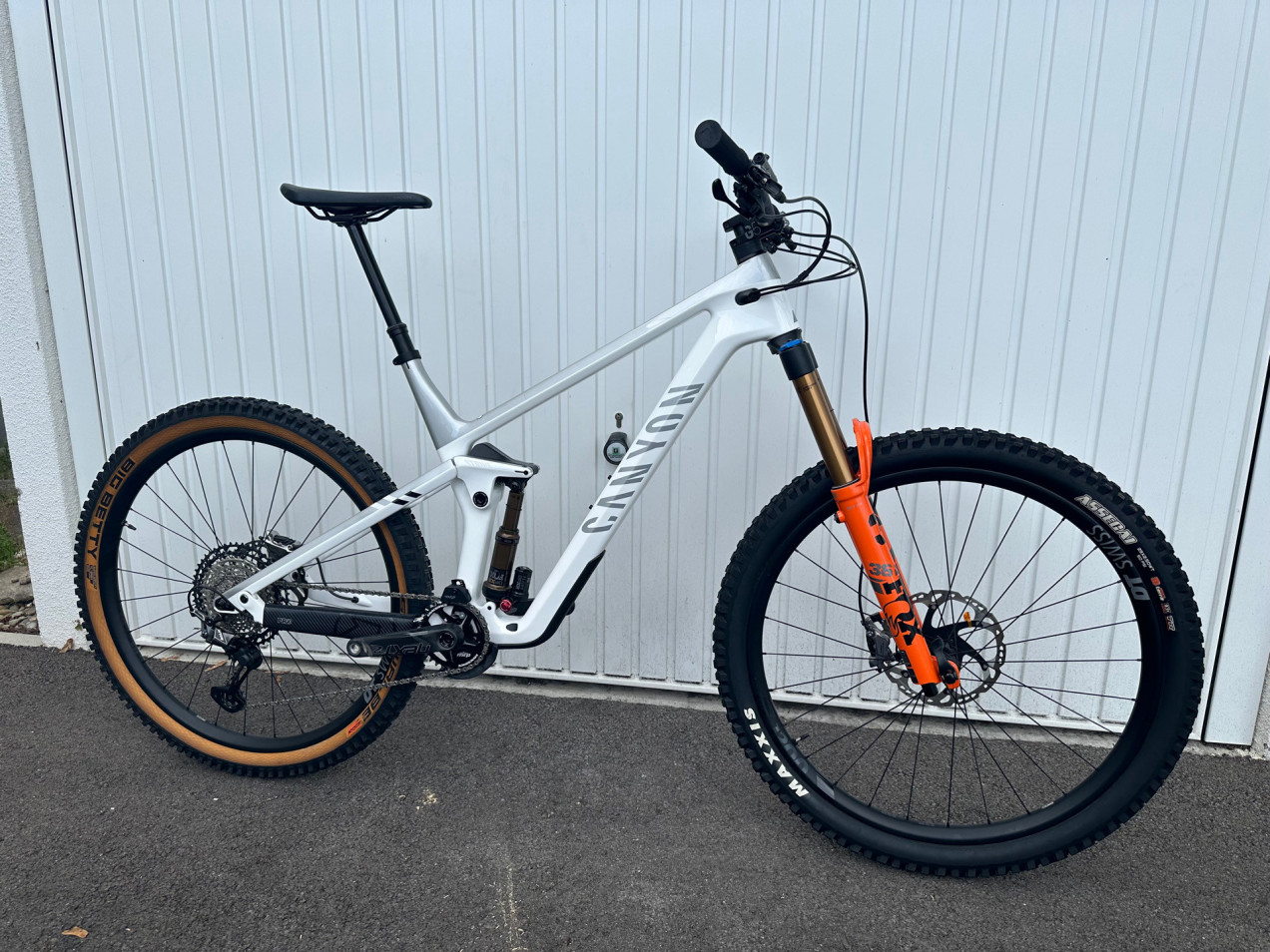 Canyon Strive CFR used in xl | buycycle