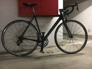 caad12 52cm