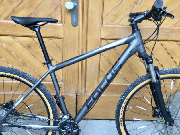 focus whistler 3.9 2020
