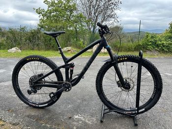 Trek - Fuel EX 8 29 2019, 2019