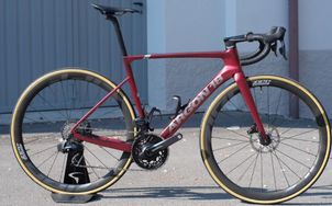 Argon 18 - Argon 18 sum, 2024