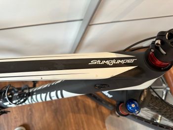Specialized Stumpjumper Expert Carbon 29 2016 2016 Mountainbike d'occasion — image 11 sur 16