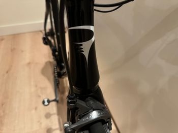 Used Pinarello Dogma 65.1 Think2 2015 Road & Gravel, Black — image 15 of 24
