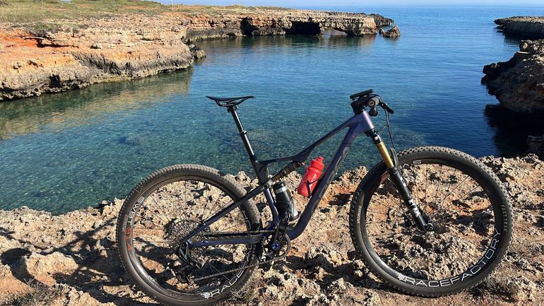 Used Orbea OIZ M-TEAM AXS 2024 2024 Mountainbike, Purple, 29 — image 3 of 3