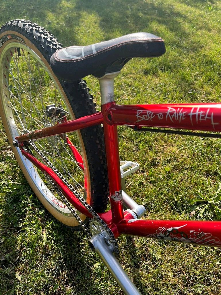 Used YT Industries Dirt Love 2018 2018 Mountainbike, Red, 26 — image 4 of 7