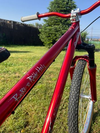 Used YT Industries Dirt Love 2018 2018 Mountainbike, Red, 26 — image 7 of 7