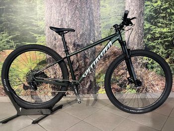 Specialized - Rockhopper Expert 2022, 2022