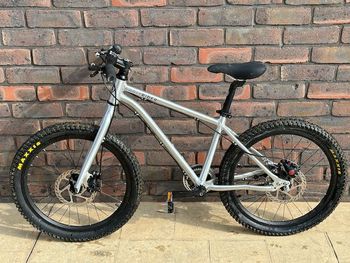 Used Early Rider Belter 20 Trail 2017 Mountainbike, Light Gray — image 2 of 9