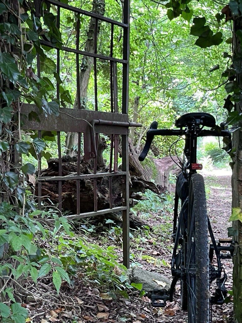 Used Cannondale Topstone 4 2024 2024 Road & Gravel — image 4 of 6