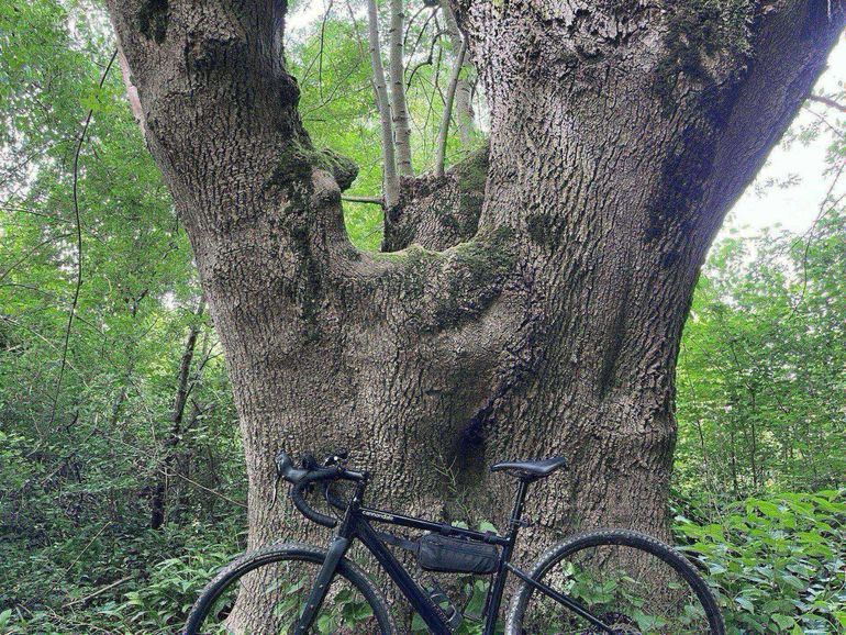 Used Cannondale Topstone 4 2024 2024 Road & Gravel — image 3 of 6