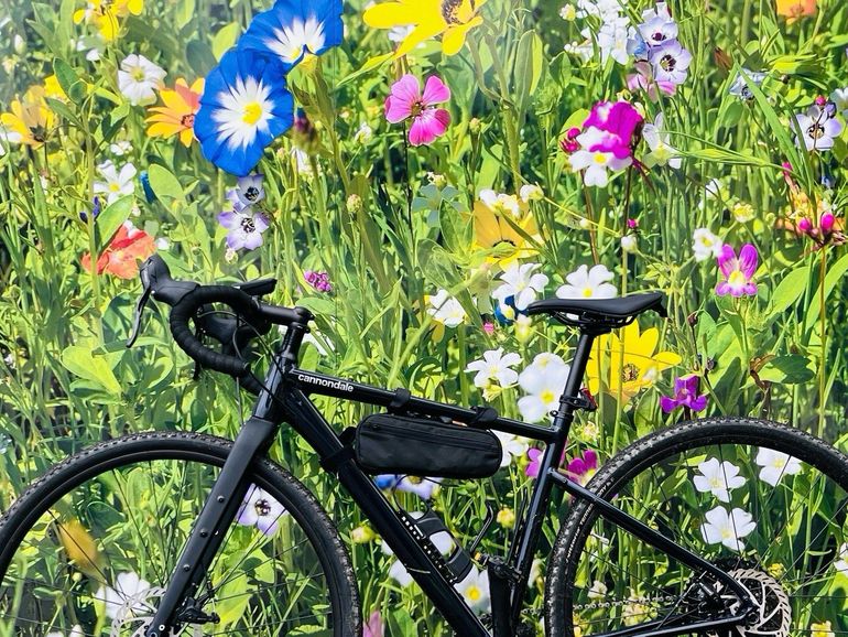 Used Cannondale Topstone 4 2024 2024 Road & Gravel — image 1 of 6