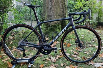 Giant - TCR Advanced 1 Disc 2021, 2021