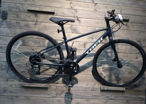 Trek - FX 2 Disc, 2024