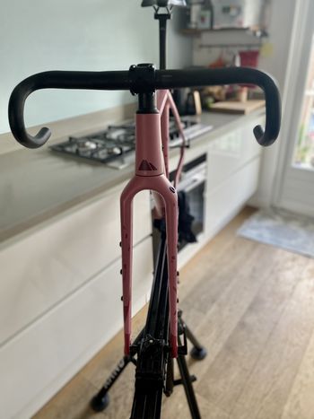 Used Canyon Grizl CF SL Frameset 2022 Road & Gravel, Morado — image 4 of 5