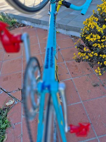 Used Bianchi Mega pro xl sc 61.10 Pantani Mercatone uno 98 1999 Road & Gravel, Orange — image 22 of 32