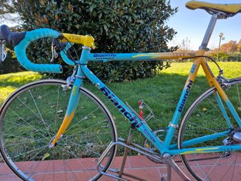 Used Bianchi Mega pro xl sc 61.10 Pantani Mercatone uno 98 1999 Road & Gravel, Orange — image 5 of 32