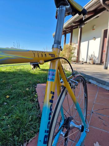 Used Bianchi Mega pro xl sc 61.10 Pantani Mercatone uno 98 1999 Road & Gravel, Orange — image 6 of 32