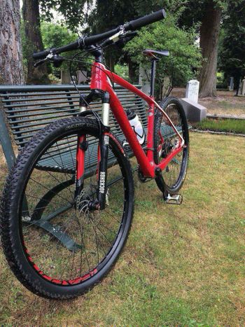 Used Specialized Stumpjumper Comp Carbon 29 2015 2015 Mountainbike, Rot, 29 — image 2 of 5