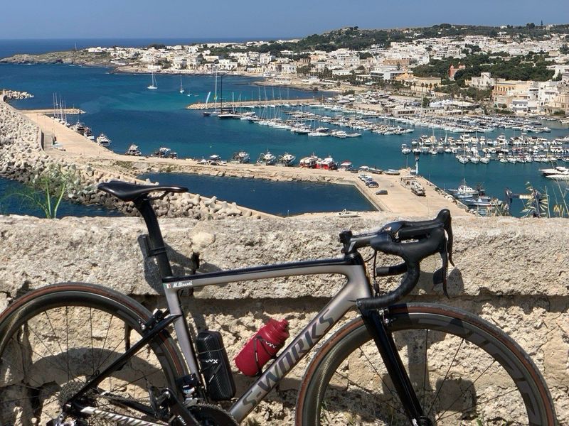 Specialized Tarmac SRAM Red eTap 2019 Road & Gravel d'occasion