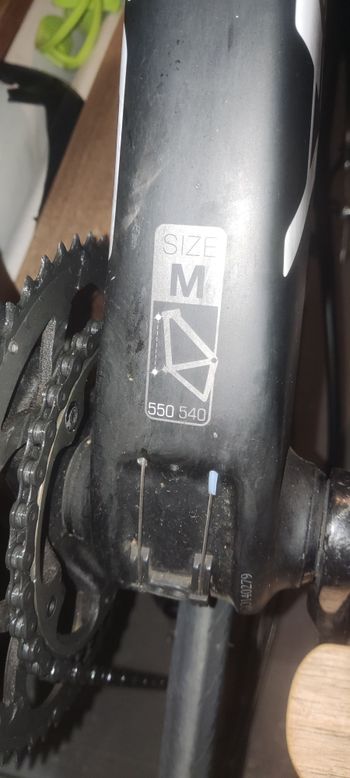 Used Olympia Ego RS Two 2018 Road & Gravel, Black — image 3 of 8