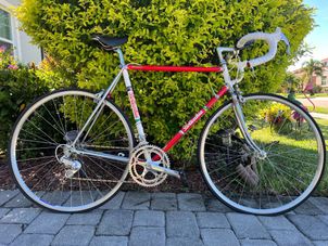  - Bottecchia SL2 Frame, 1980