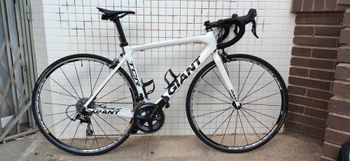 Giant - TCR Advanced 2 2011, 2011