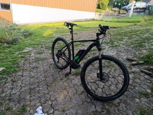 Radon - ZR TEAM 8.0 Hybrid 29er, 2017