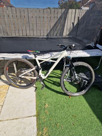 Specialized - Enduro Elite 29 2019, 2019