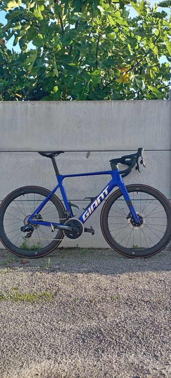 Giant - Propel Advanced 1 2024, 2024