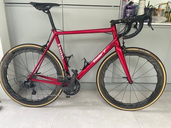 Condor - Leggero SL Frameset, 2019